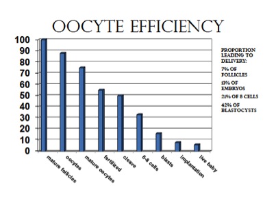 graphic-graph-oocyte-efficiency