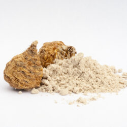 Maca for Fertility